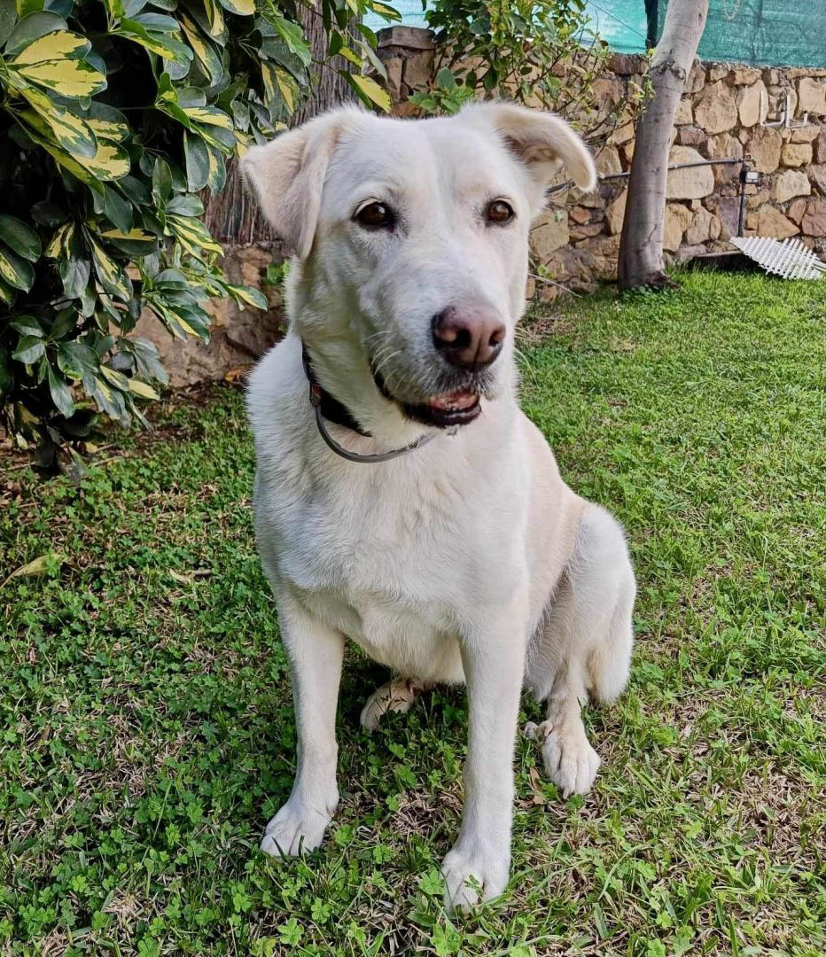 neues Foto März 2026