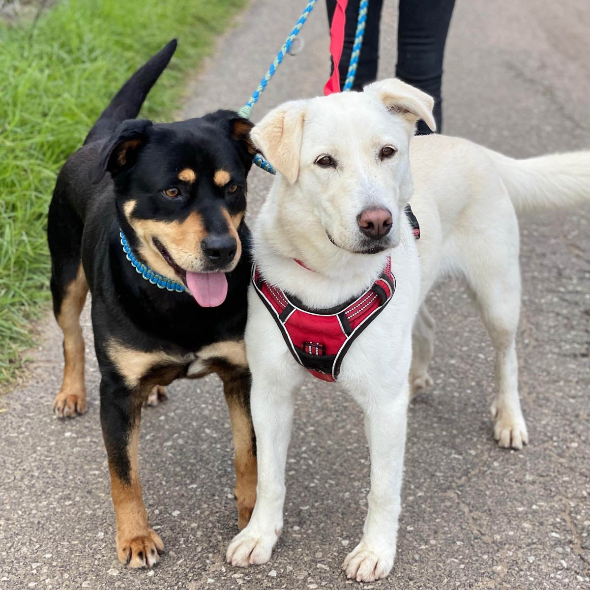 neues Foto März 2026