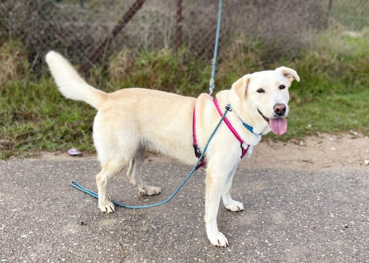 neues Foto März 2026