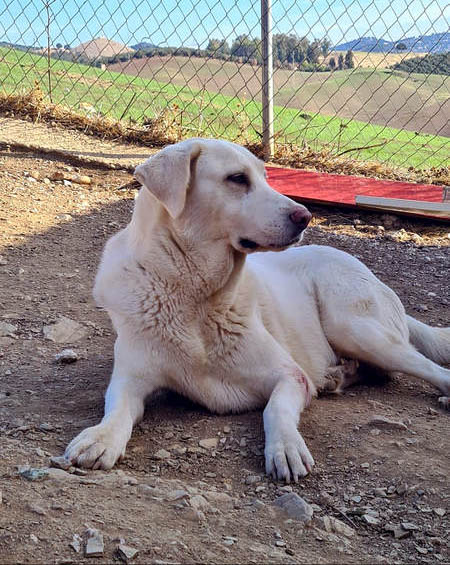 neues Foto März 2026