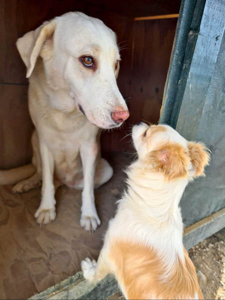 neues Foto März 2026