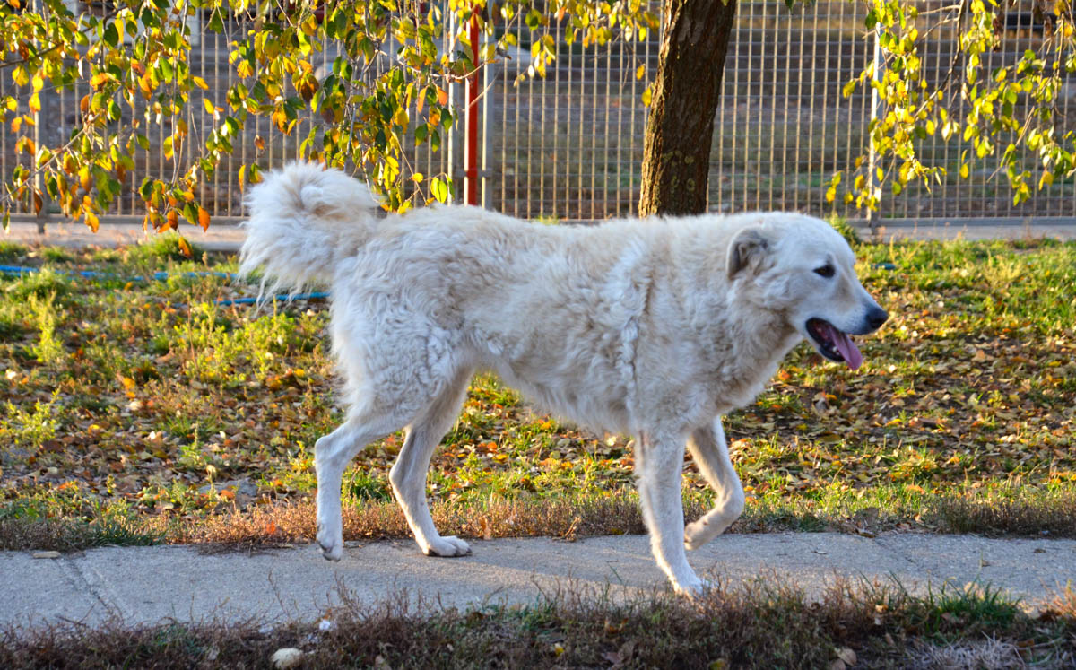 neues Foto März 2026