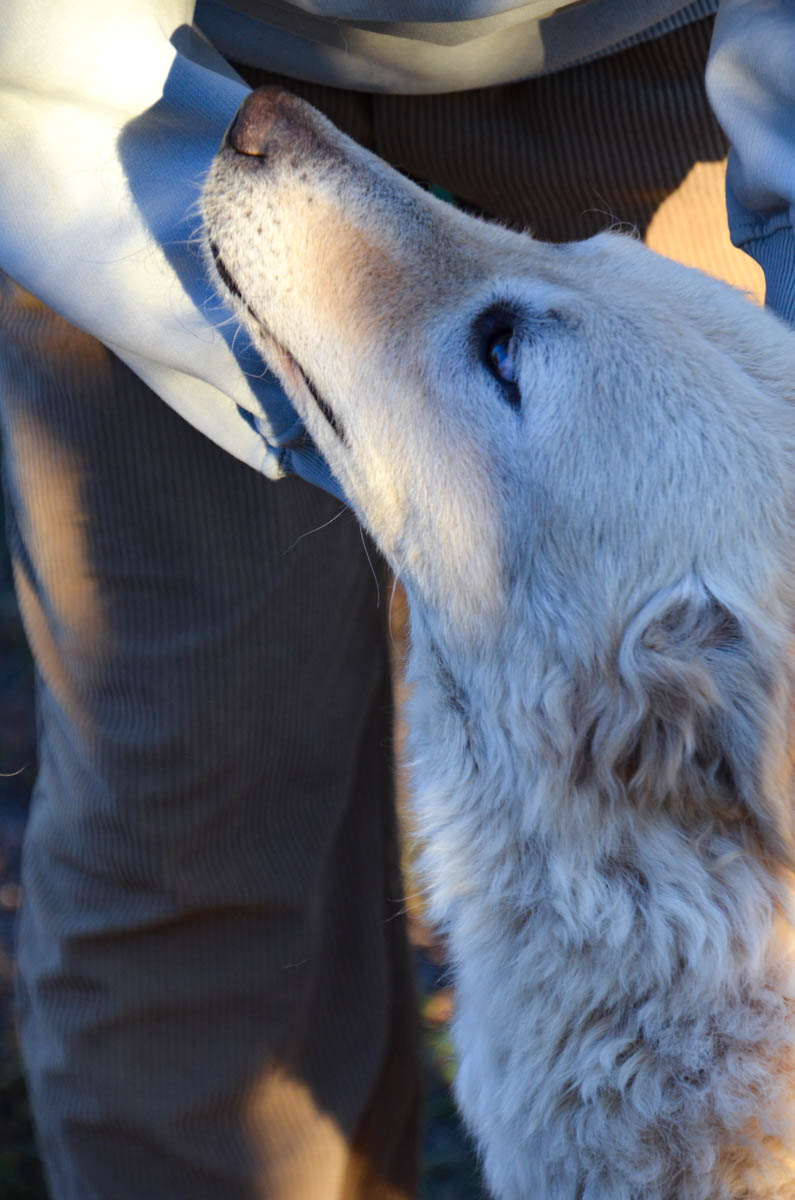 neues Foto März 2026