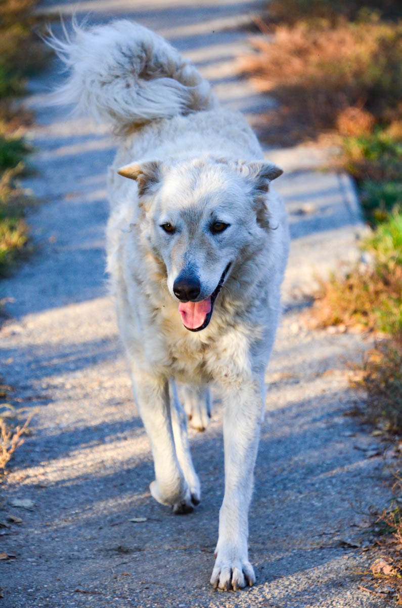 neues Foto März 2026