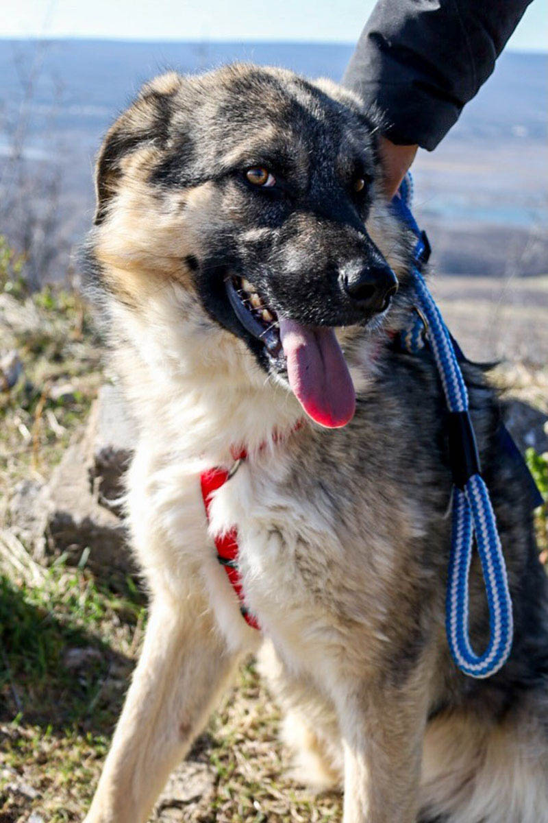 neues Foto März 2026