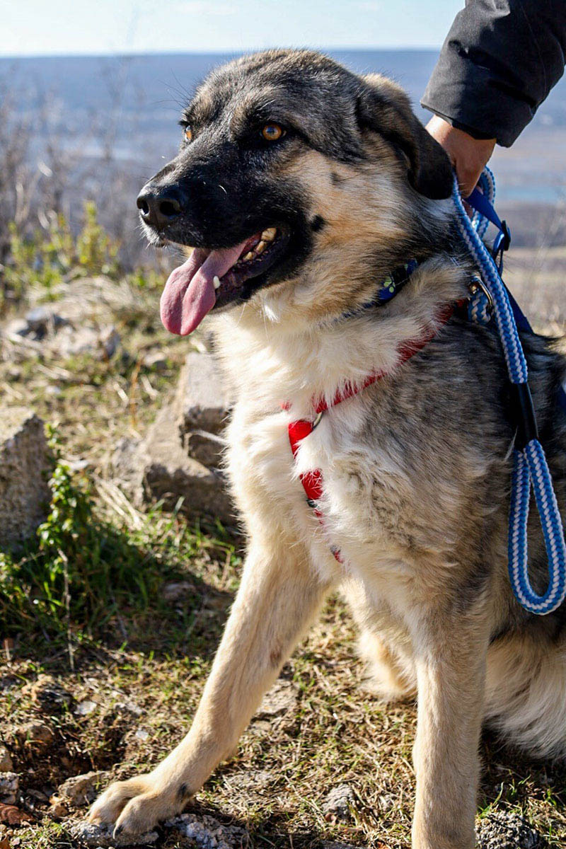 neues Foto März 2026