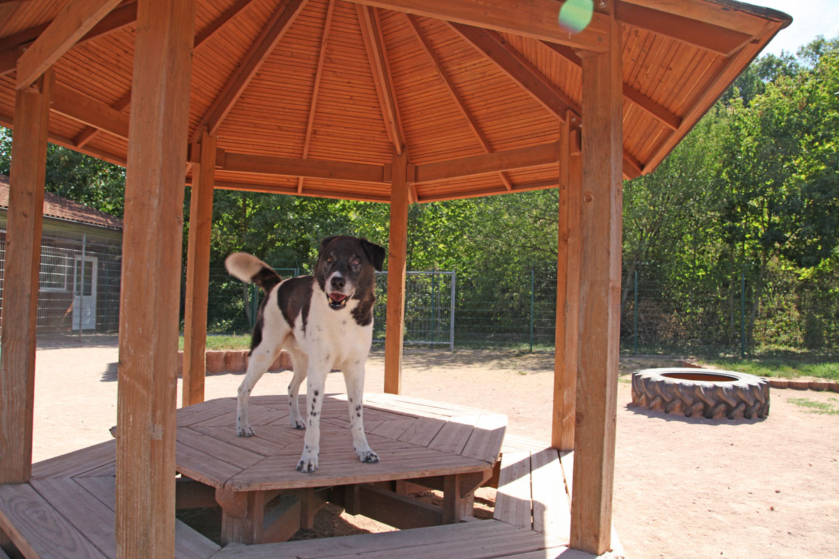 neues Foto März 2026