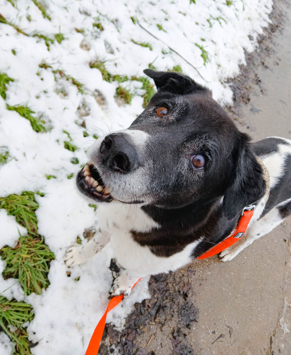 neues Foto März 2026