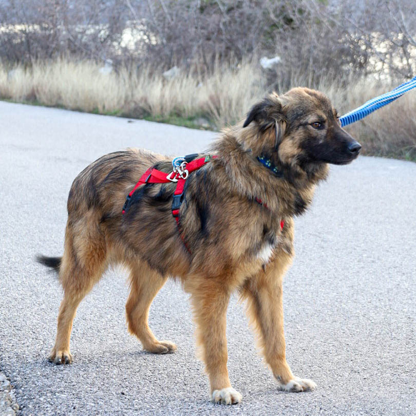 neue Fotos März 2026