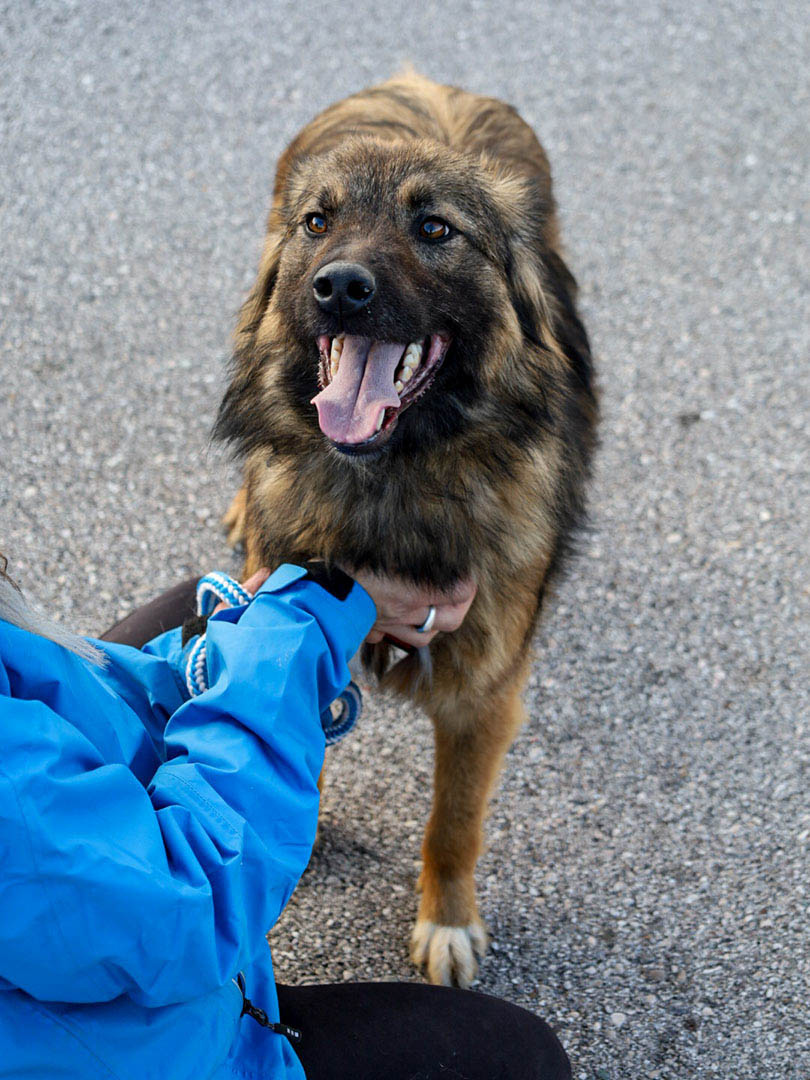 neue Fotos März 2026