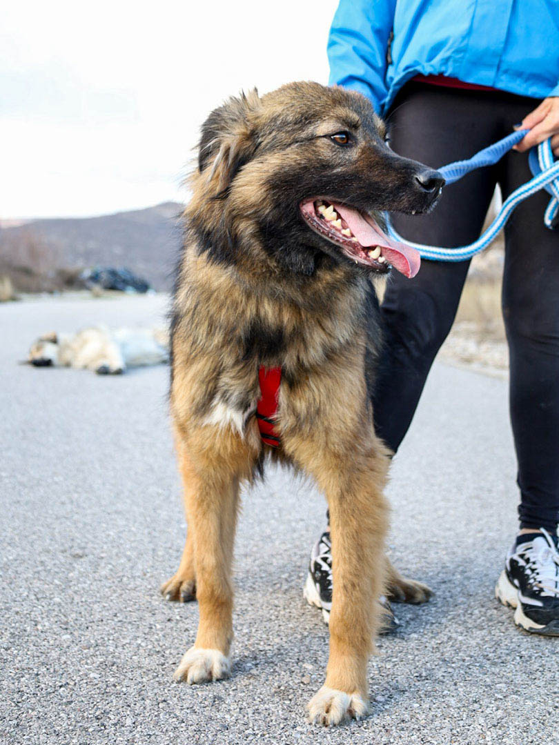 neue Fotos März 2026