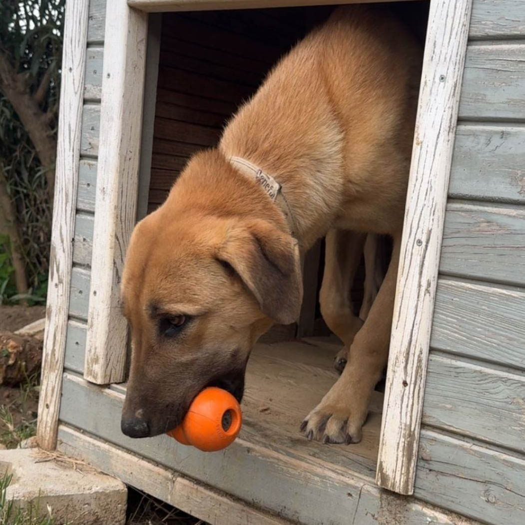 neues Foto März 2026