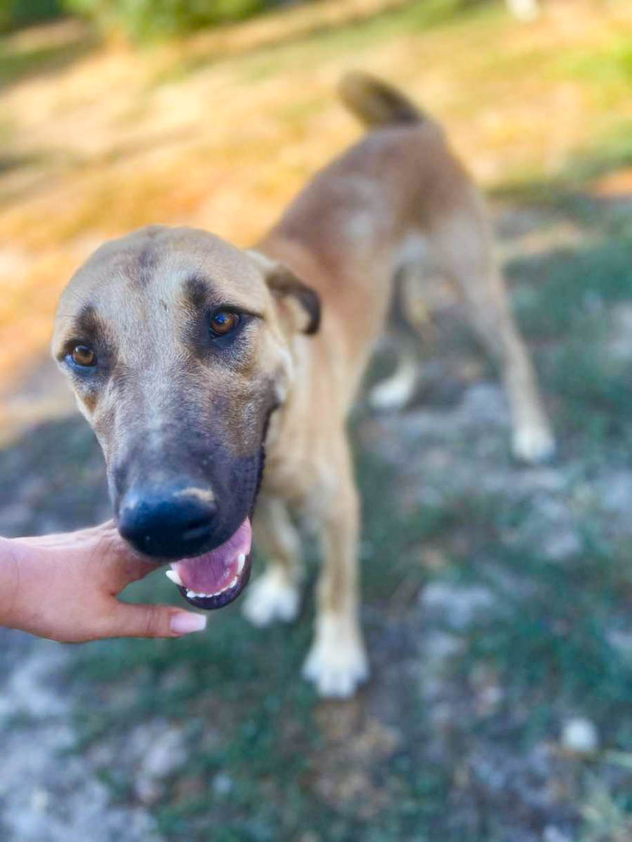 neues Foto März 2026