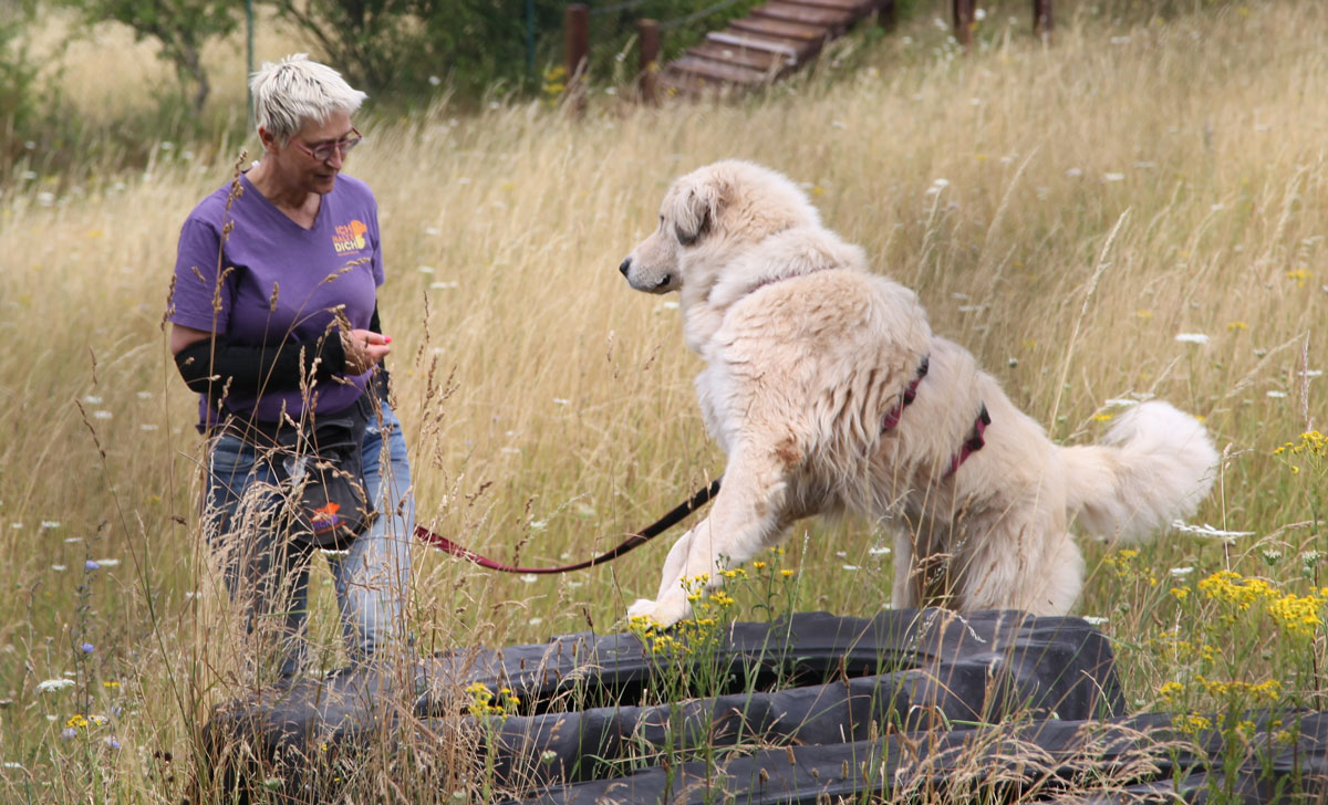 neues Foto März 2026
