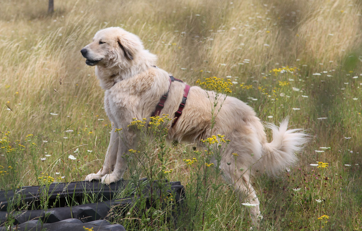 neues Foto März 2026