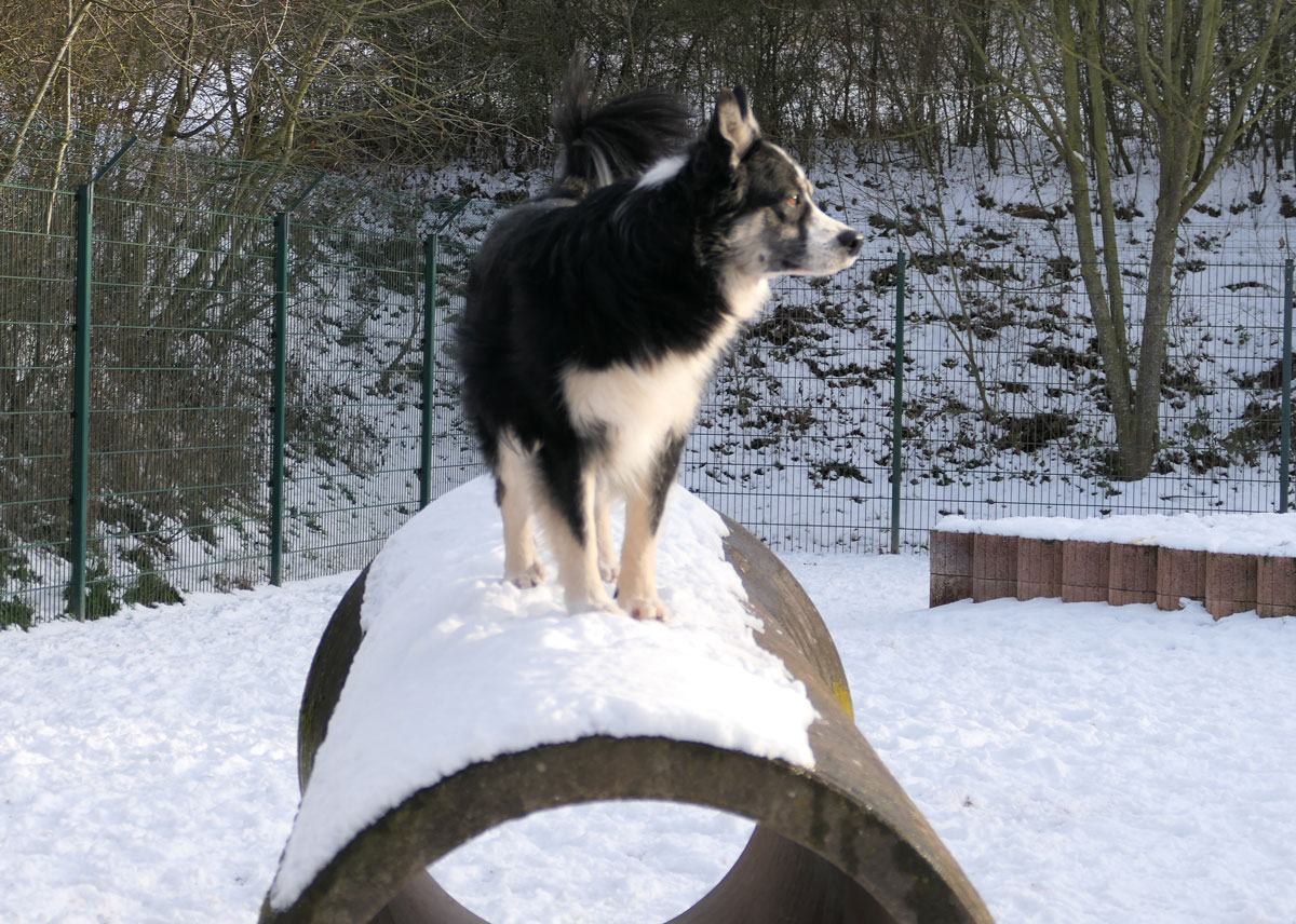 neues Foto März 2026