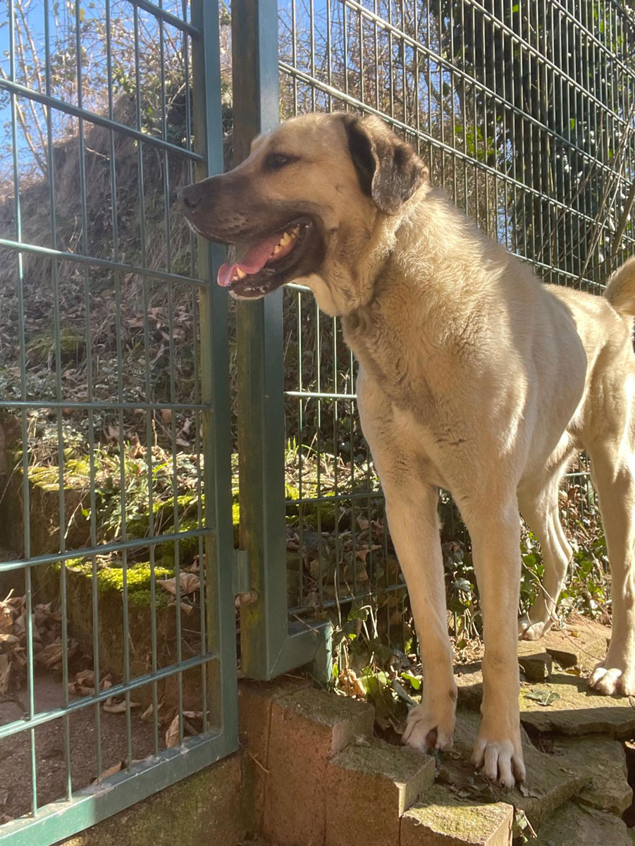 neues Foto März 2026