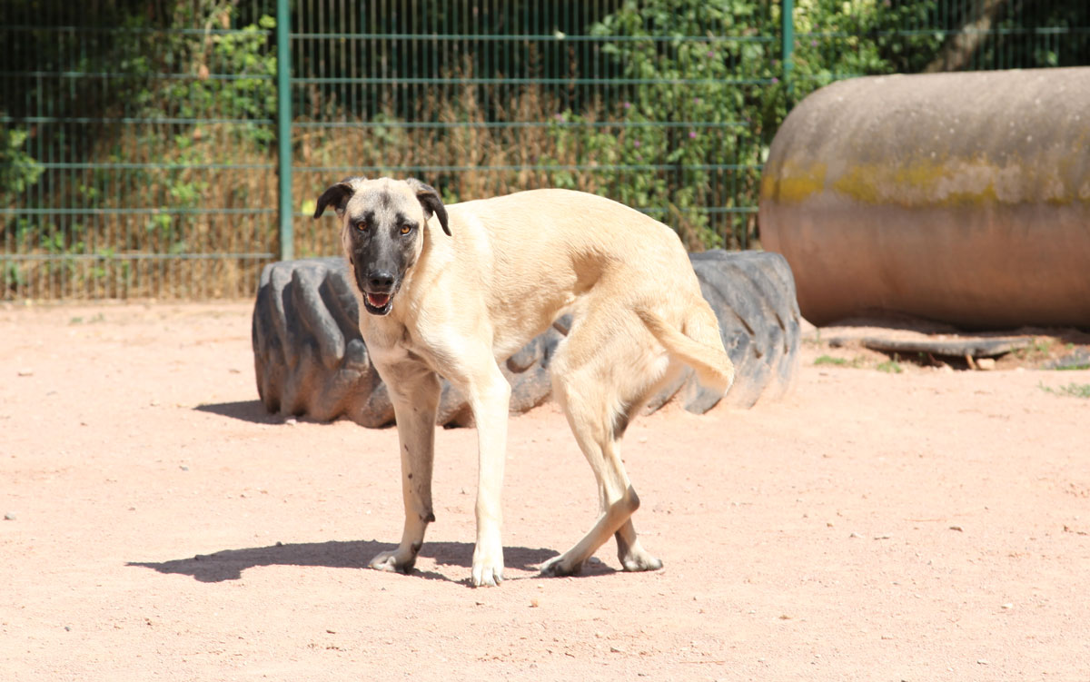 neues Foto März 2026