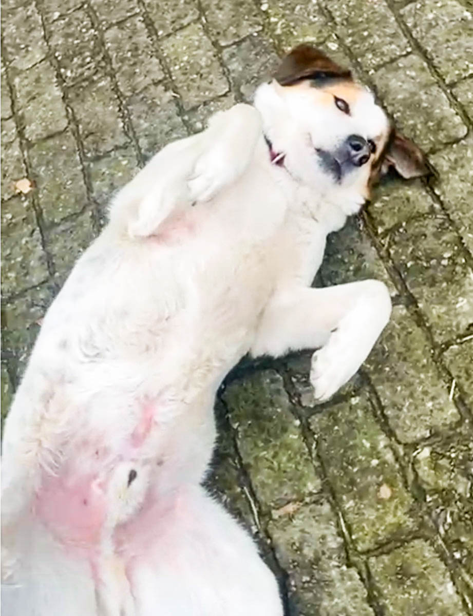 neues Foto März 2026