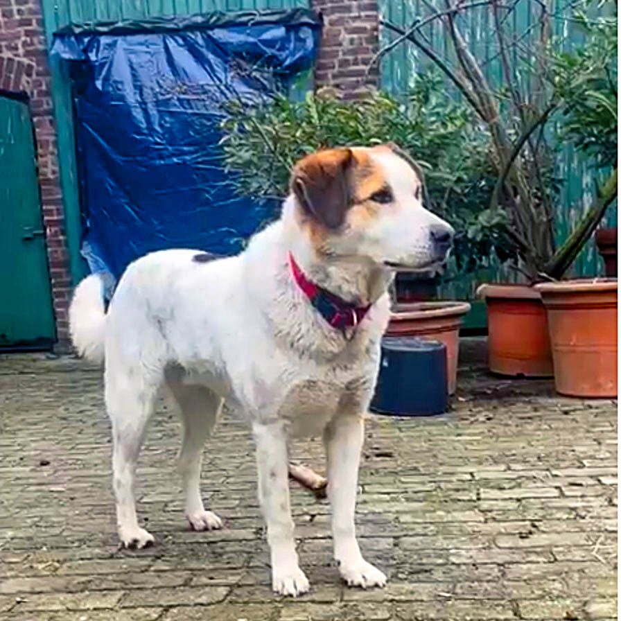 neues Foto März 2026