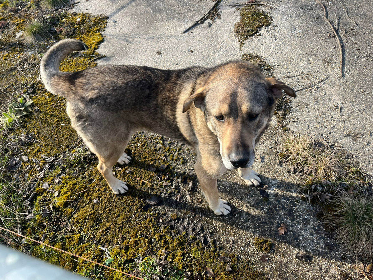 neues Foto März 2026