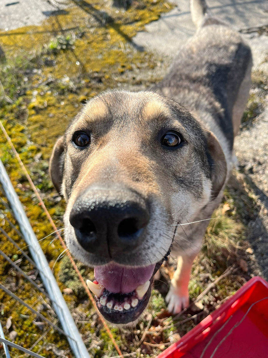 neues Foto März 2026