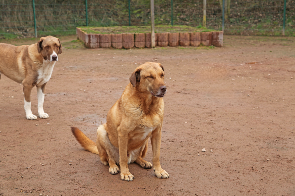 neues Foto März 2026