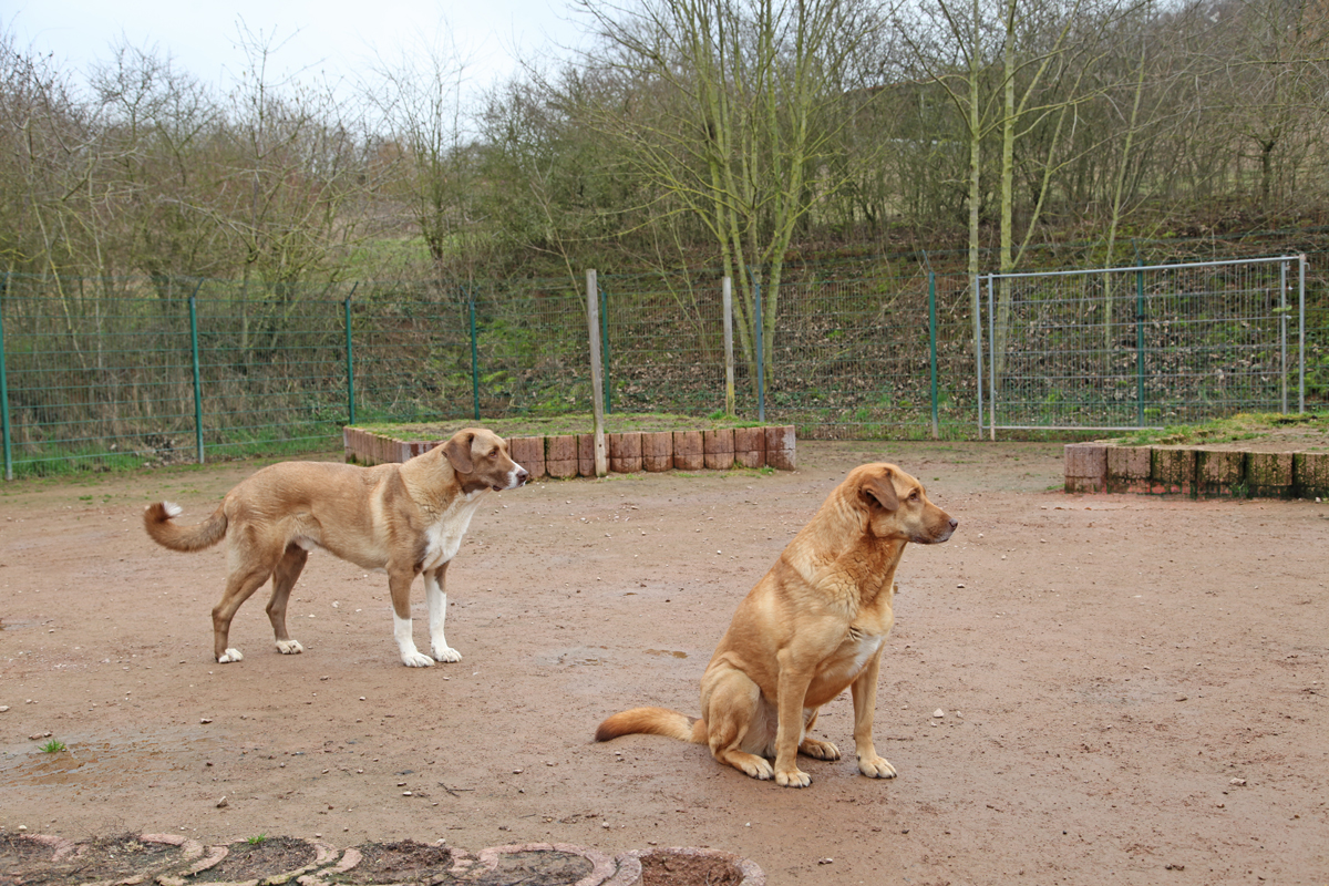 neues Foto März 2026