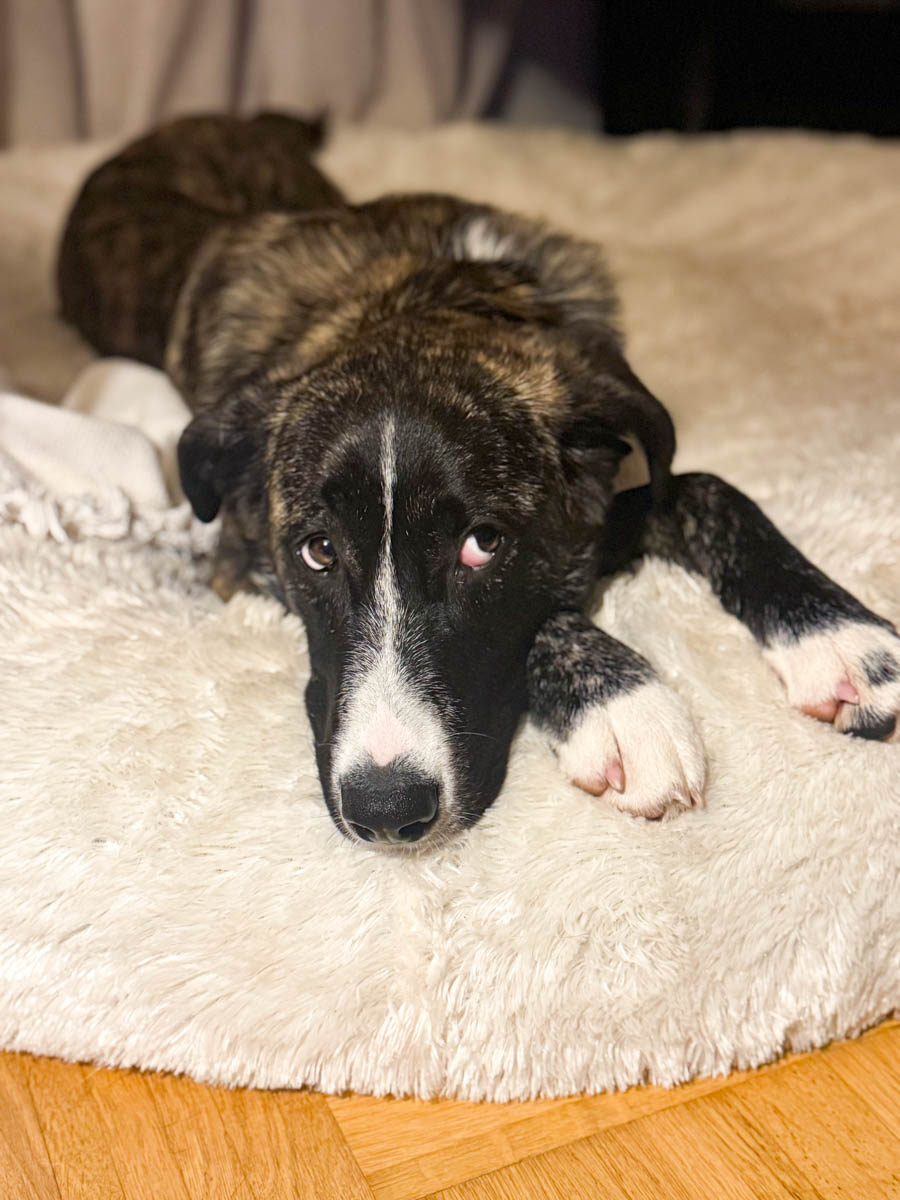 neues Foto März 2026