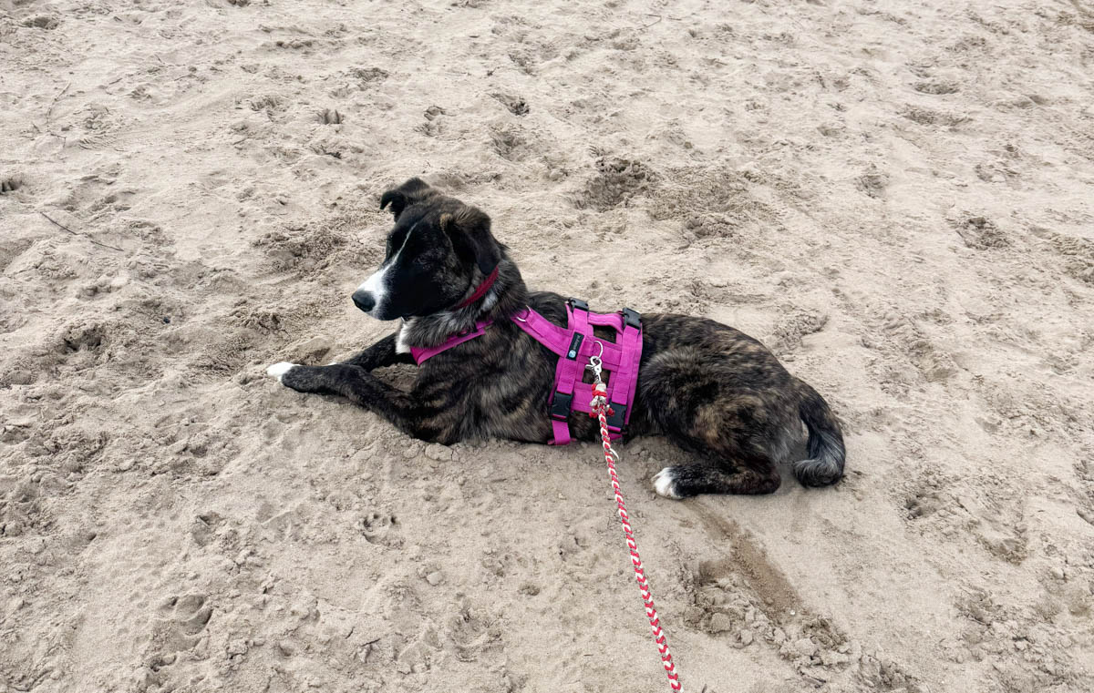 neues Foto März 2026