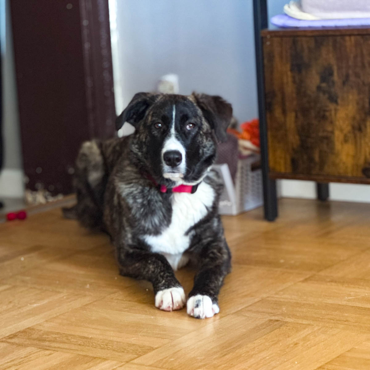 neues Foto März 2026