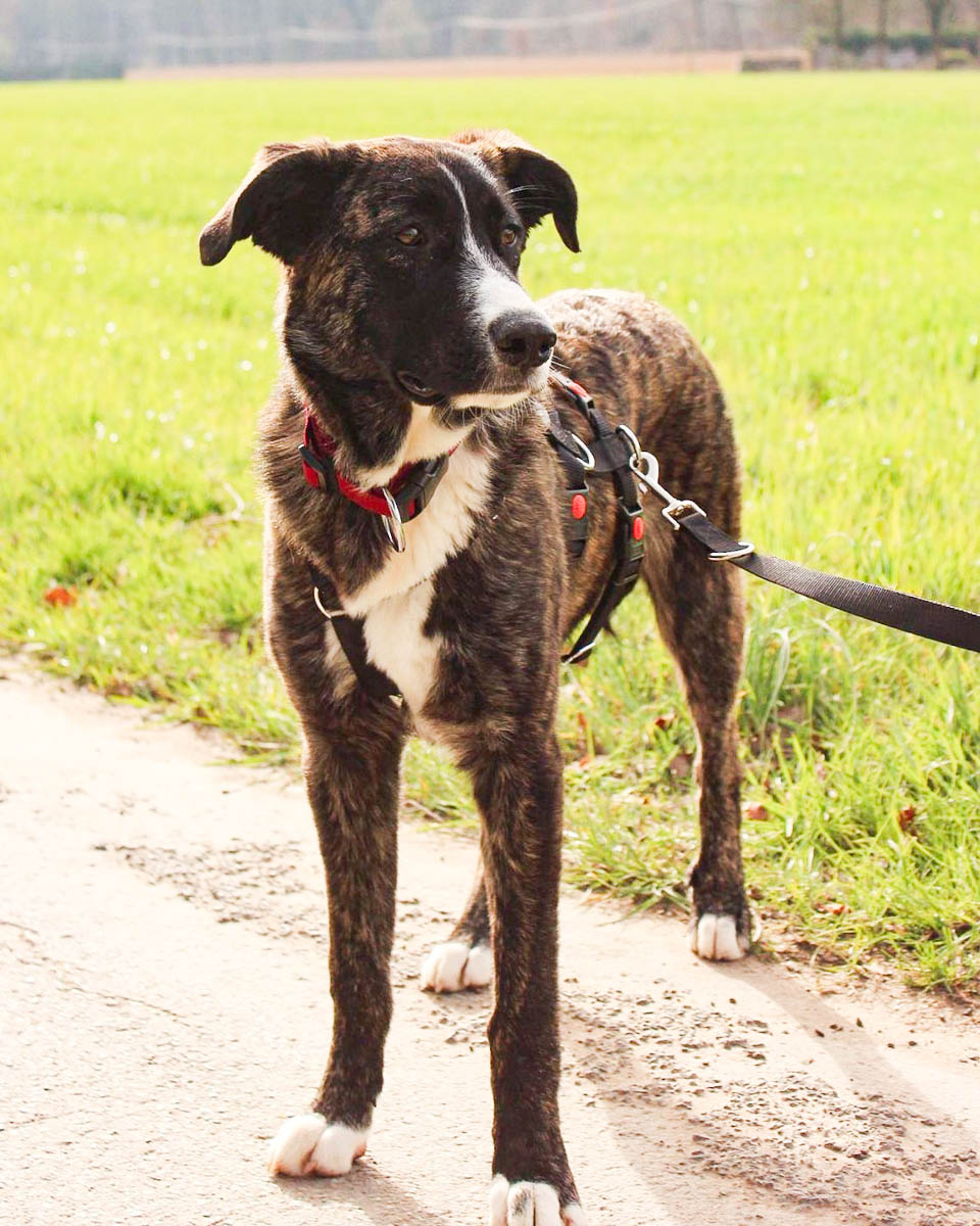 neues Foto März 2026