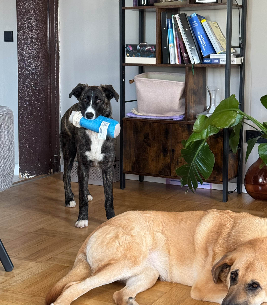 neues Foto März 2026