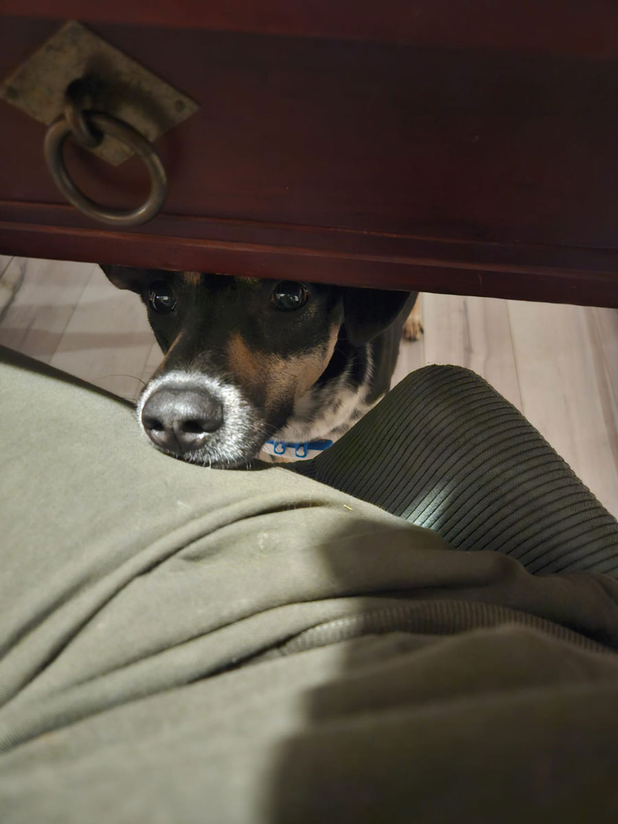 neues Foto März 2026