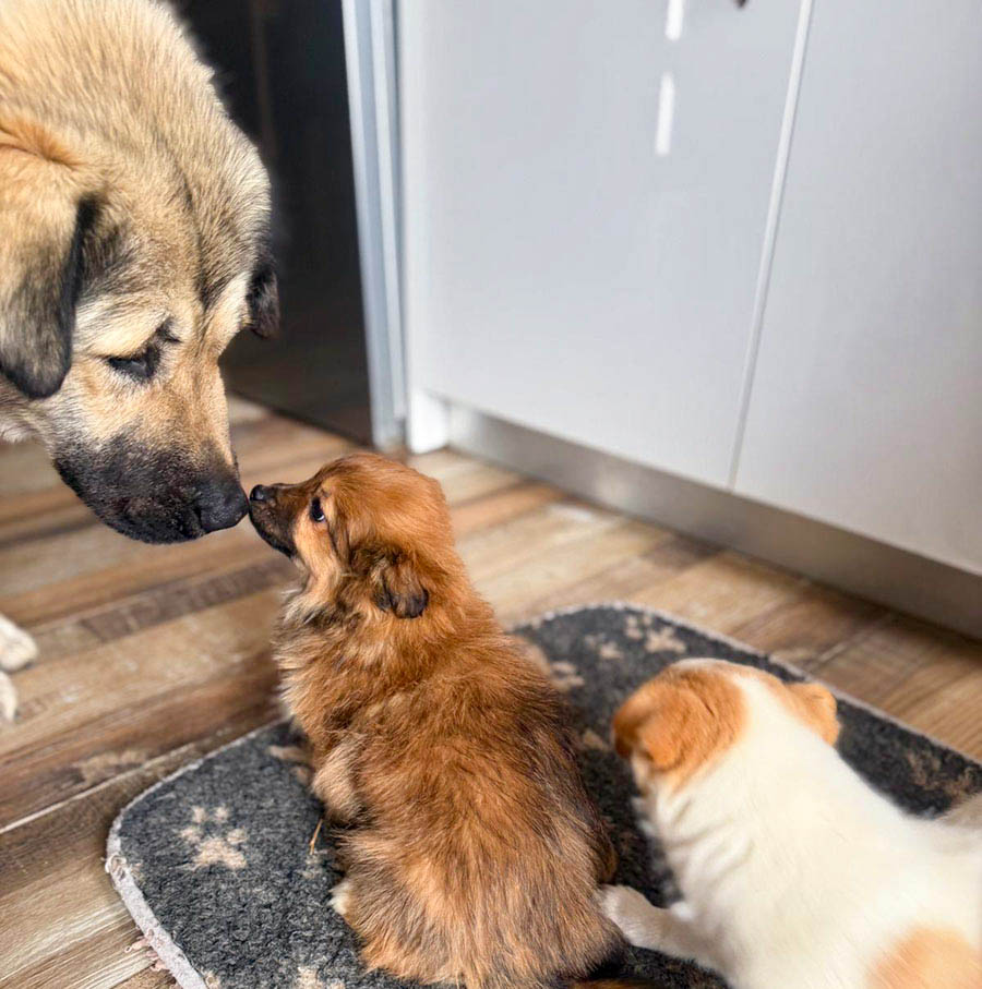 neues Foto März 2026, Lemonia