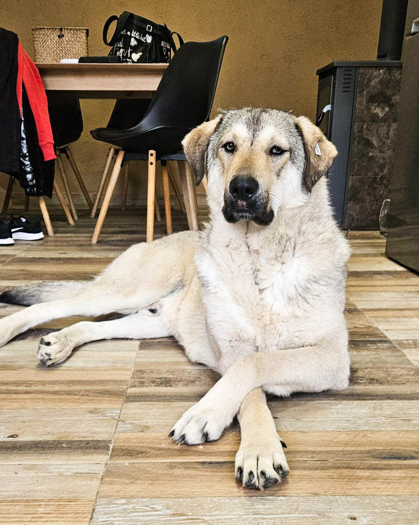 neues Foto März 2026, Snicket