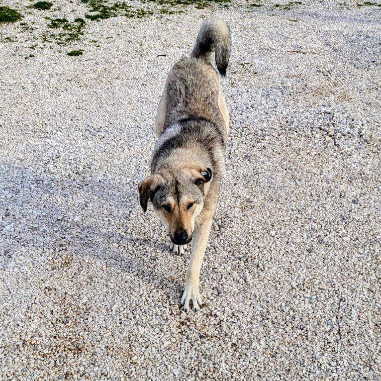 neues Foto März 2026, Snicket