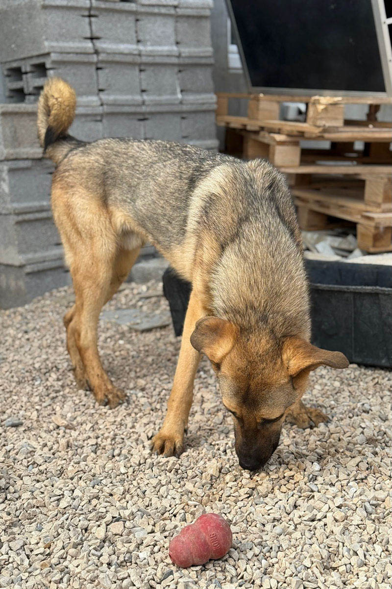 neues Foto März 2026