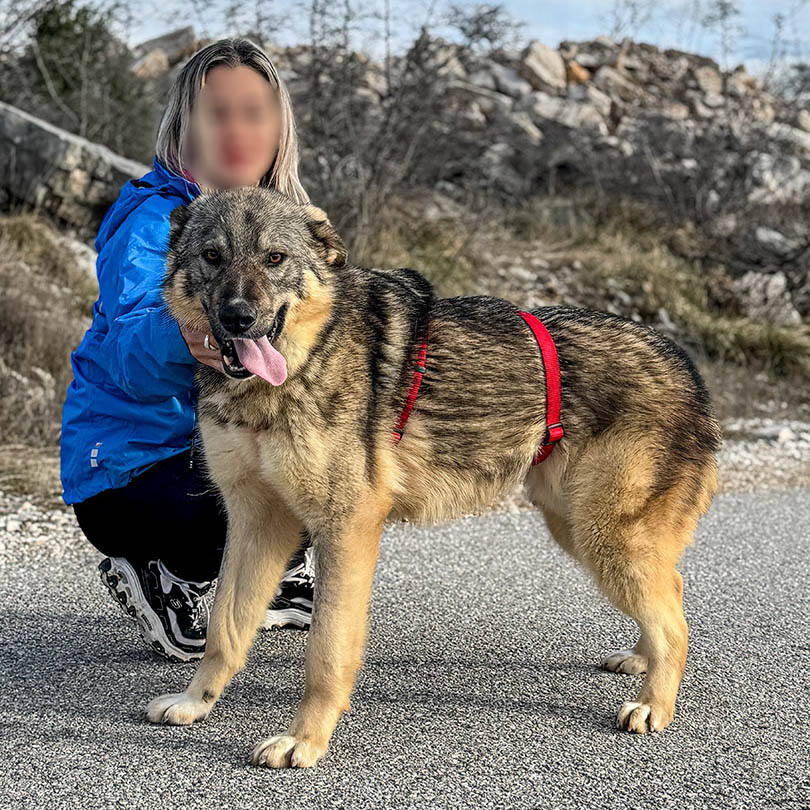 neues Foto März 2026