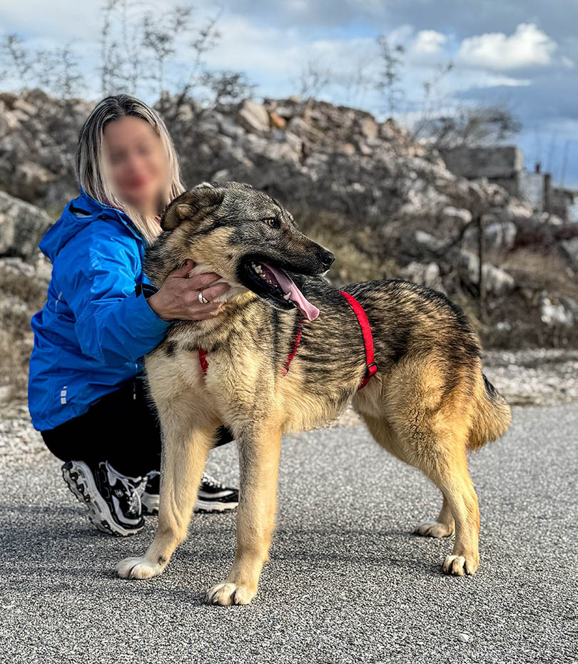 neues Foto März 2026