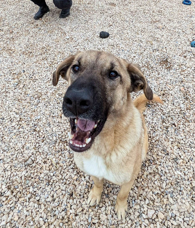 neues Foto März 2026