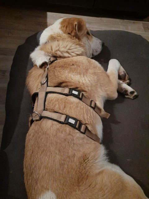 neues Foto März 2026