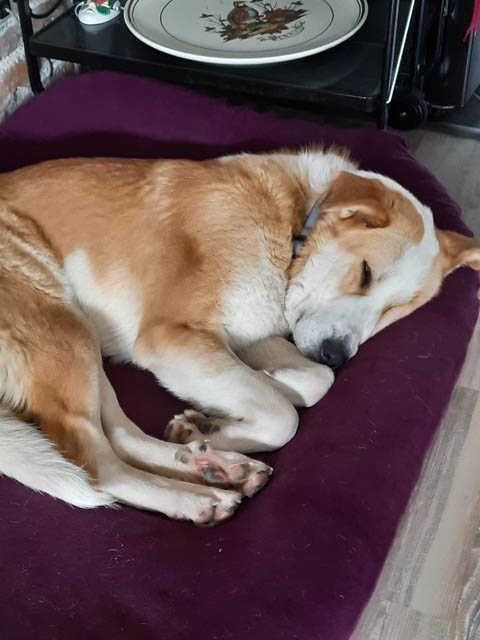 neues Foto März 2026