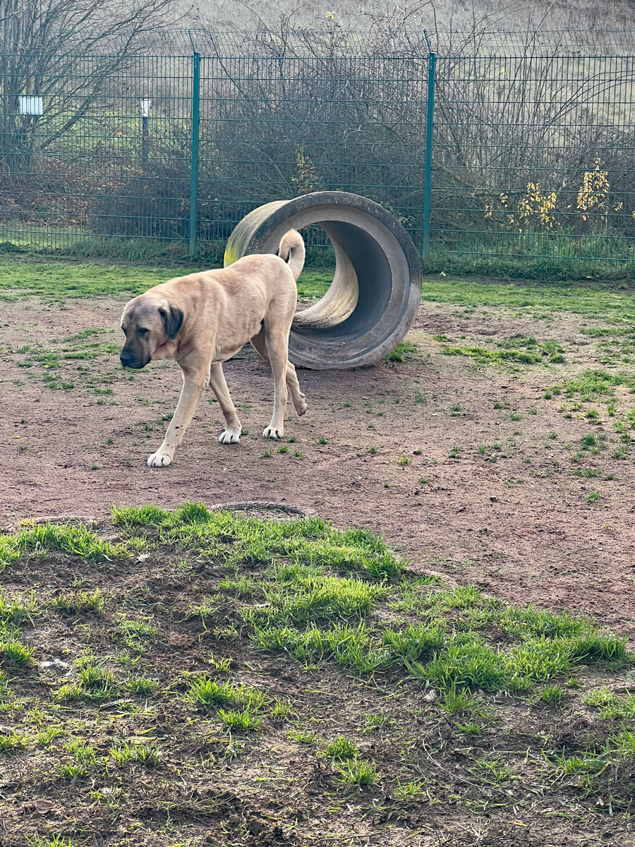 neues Foto März 2026