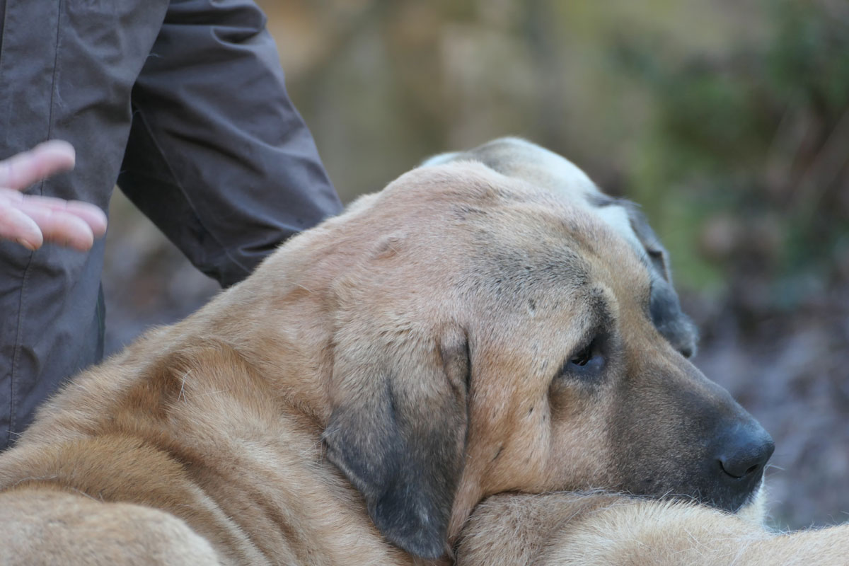 neues Foto März 2026