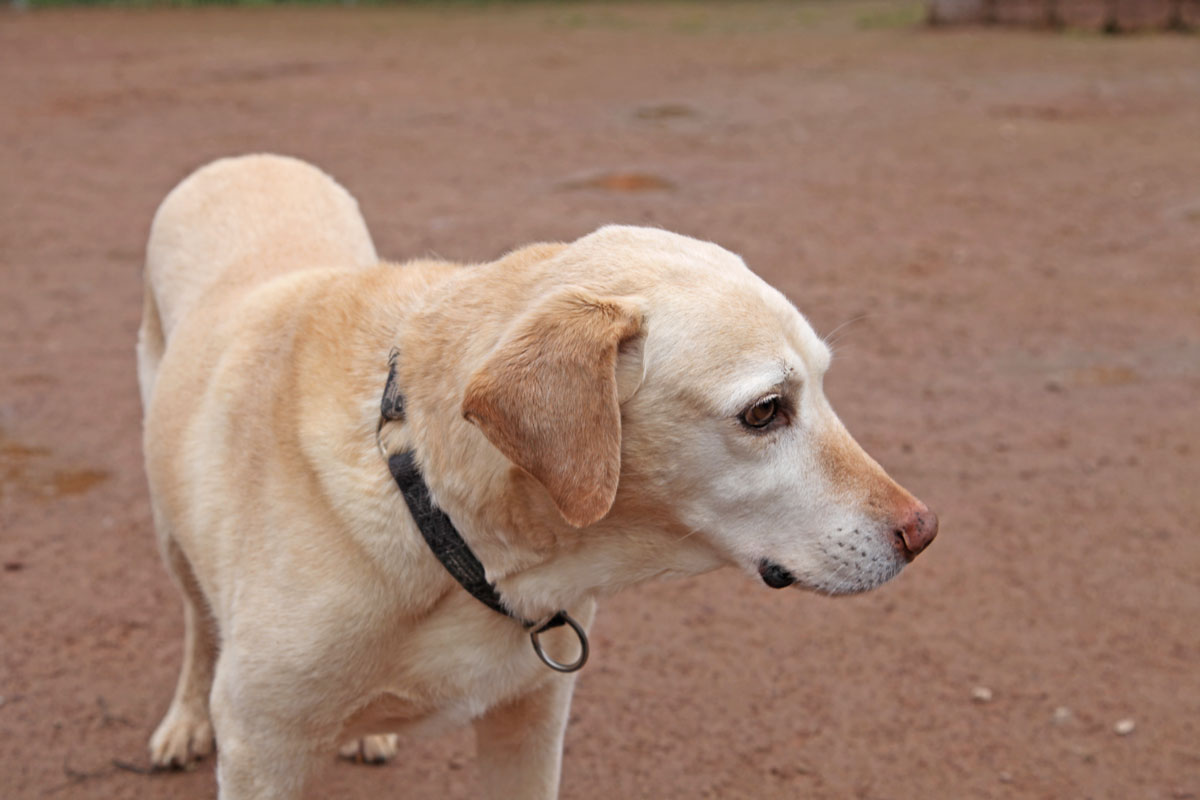 neues Foto März 2026