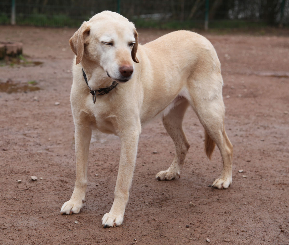 neues Foto März 2026