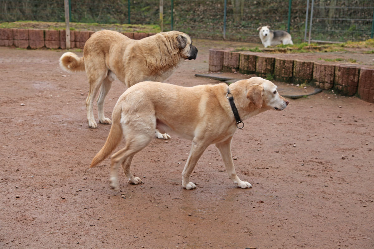 neues Foto März 2026