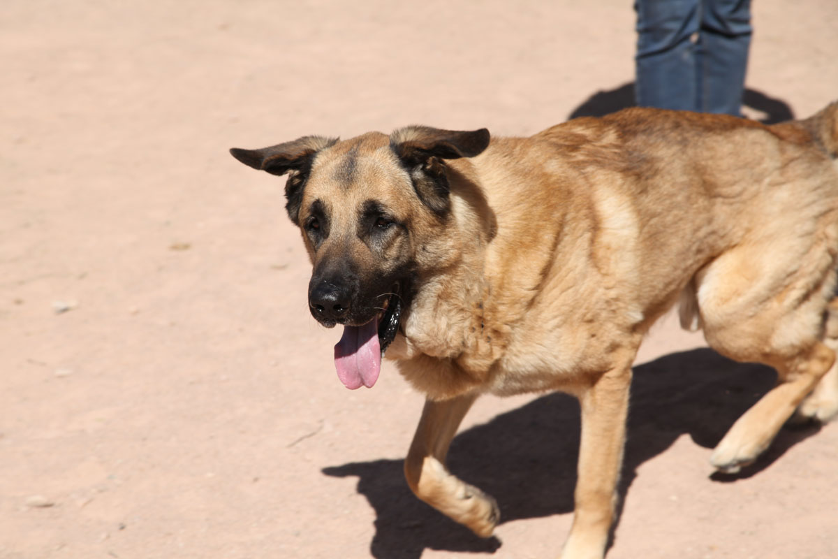 neues Foto März 2026