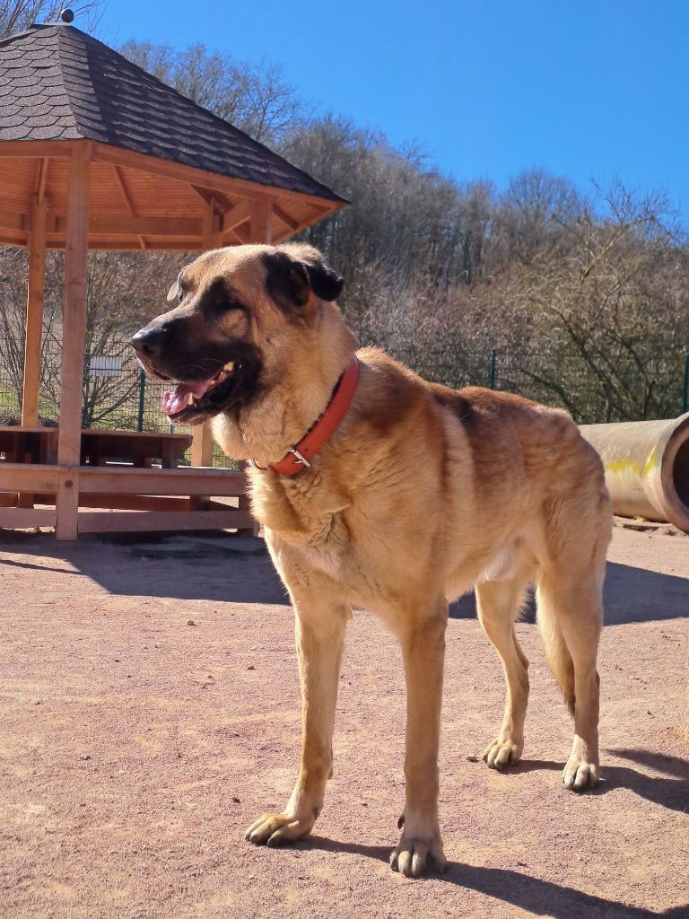 neues Foto März 2026